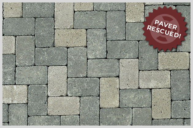 Clean and sealed rescued paver
